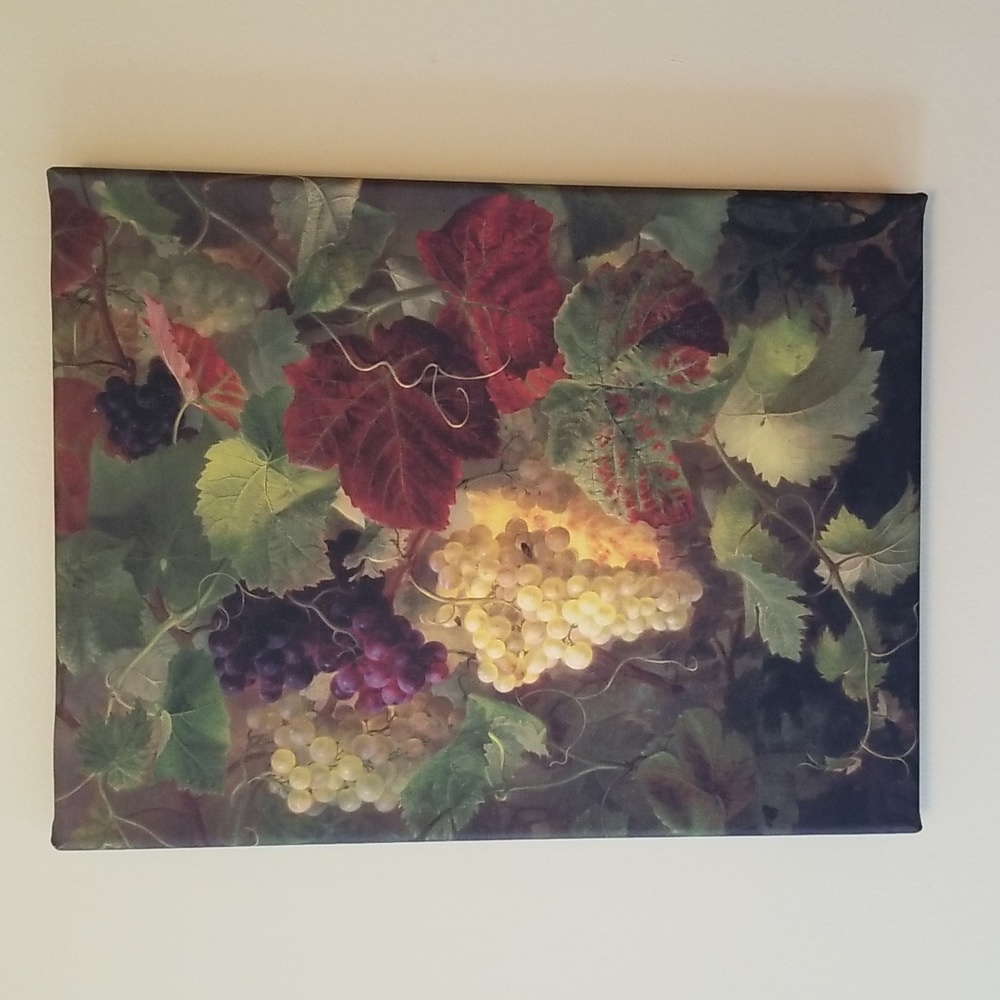 GRAPE PRINT ON CANVAS PICTURE  RED AND GREEN GRAPES  9"×12"×3/4"